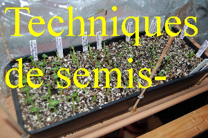 techniques de semis