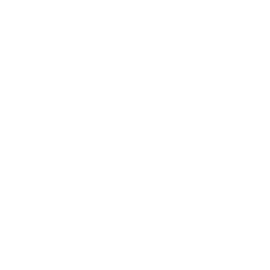 Plantes Succulentes